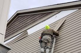 Best Siding Painting and Refinishing  in Braddock, PA